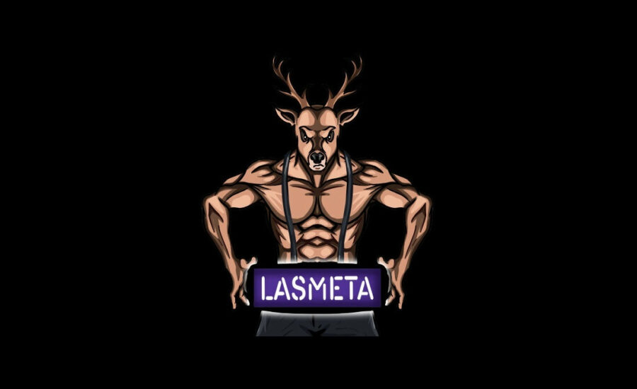 LasMeta logo