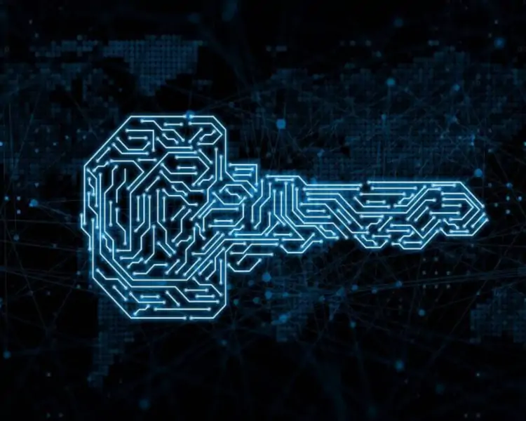 Exploring the Role of Cryptography in Securing Blockchain Networks